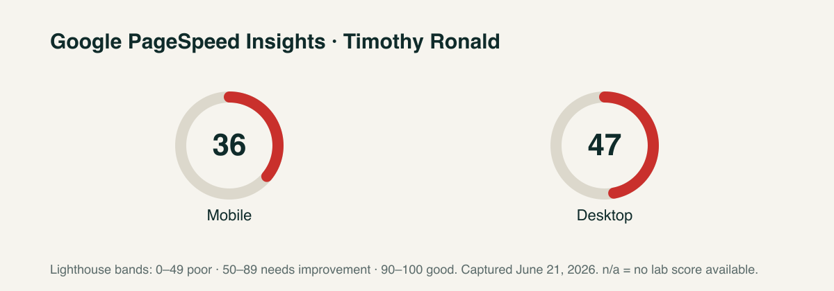 Timothy Ronald PageSpeed scores