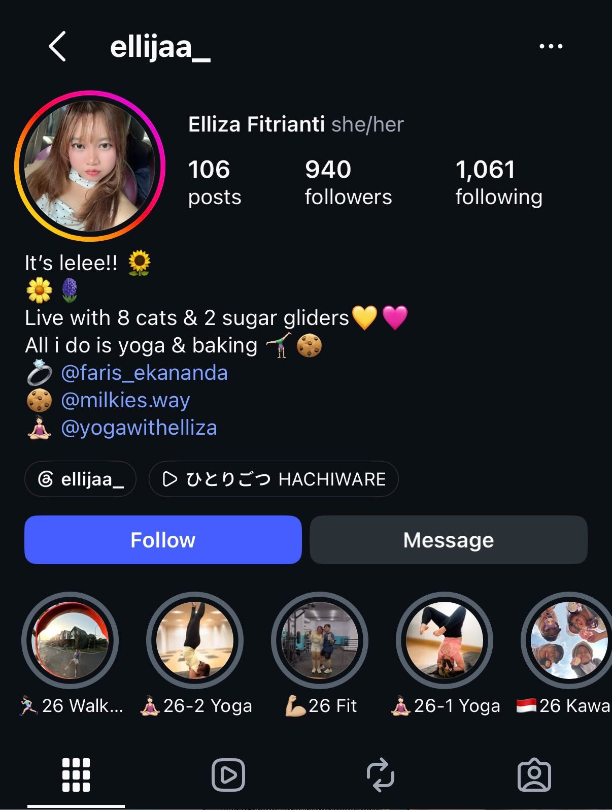 Evidence A-5: Instagram profile of @ellijaa_ used to cross-check identity